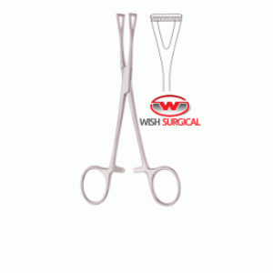Collin Tissue And Organ Holding Forcep 14 Cm