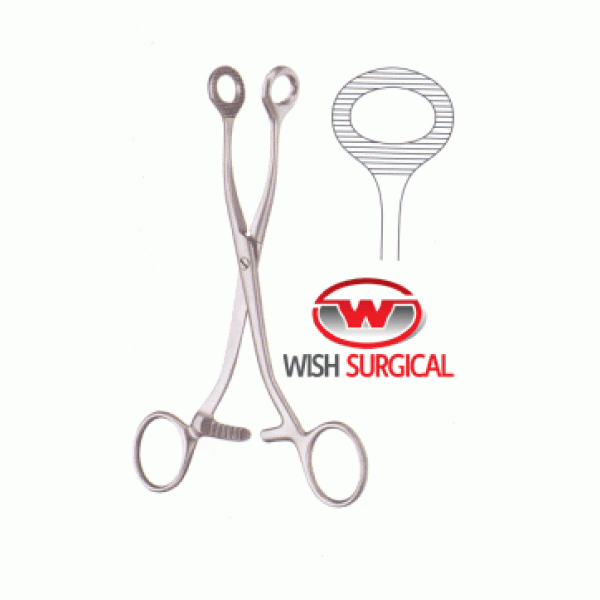 Collin Tissue And Organ Holding Forcep, 16.5cm